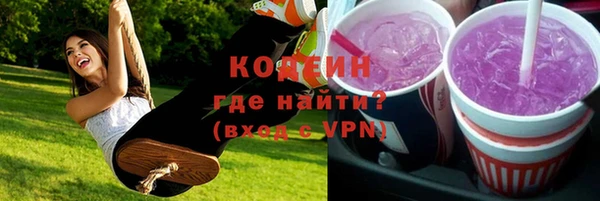 меф Ельня