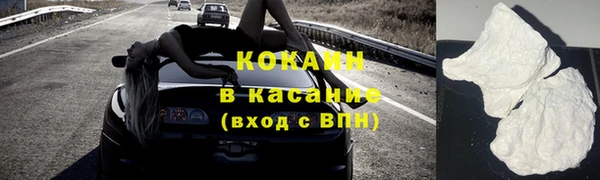 меф Ельня