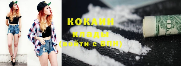 меф Ельня