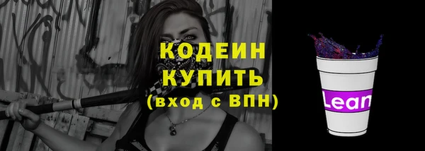 меф Ельня