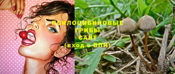 MESCALINE Елизово