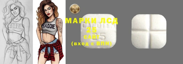 меф Ельня