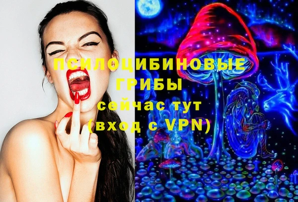 меф Ельня