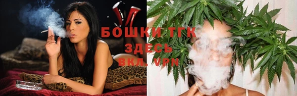 меф Ельня