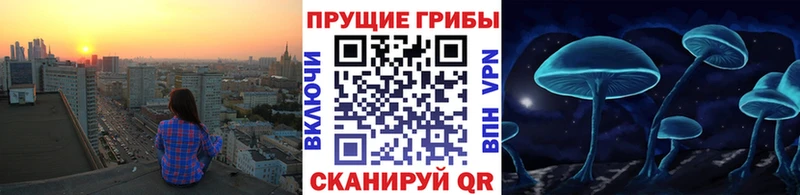 Галлюциногенные грибы Psilocybe  hydra как зайти  Зарайск 